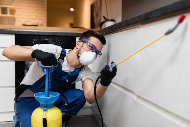 Best Local Pest Control Services  in Quartzsite, AZ