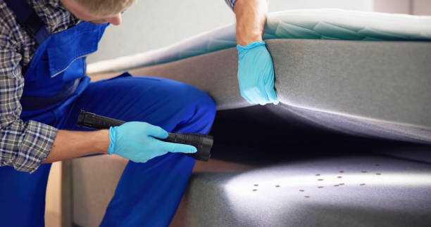 Best Affordable Pest Control Services  in Quartzsite, AZ