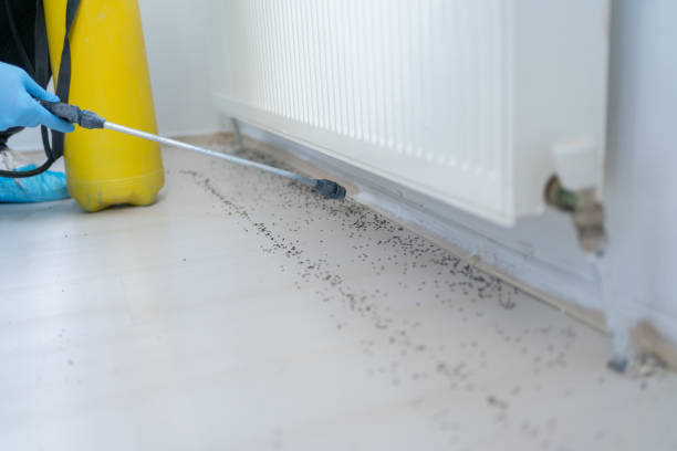 Best Best Pest Control Companies  in Quartzsite, AZ